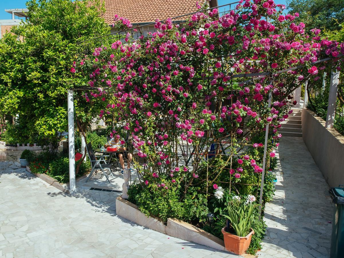 Apartament Azure Adriatic Kotor Zewnętrze zdjęcie