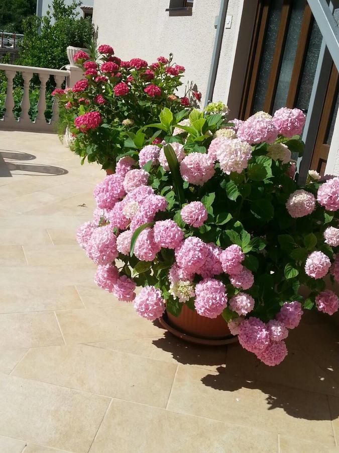 Apartament Azure Adriatic Kotor Zewnętrze zdjęcie
