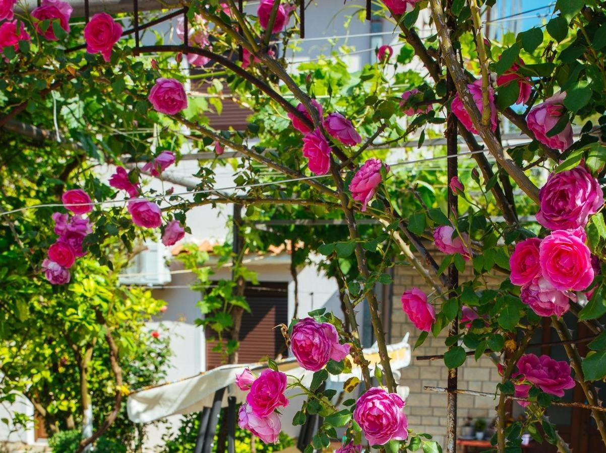 Apartament Azure Adriatic Kotor Zewnętrze zdjęcie
