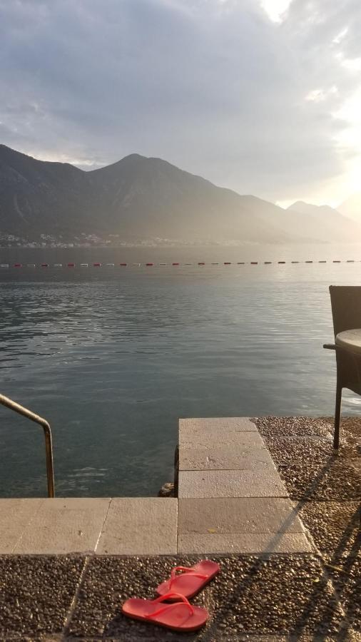 Apartament Azure Adriatic Kotor Zewnętrze zdjęcie
