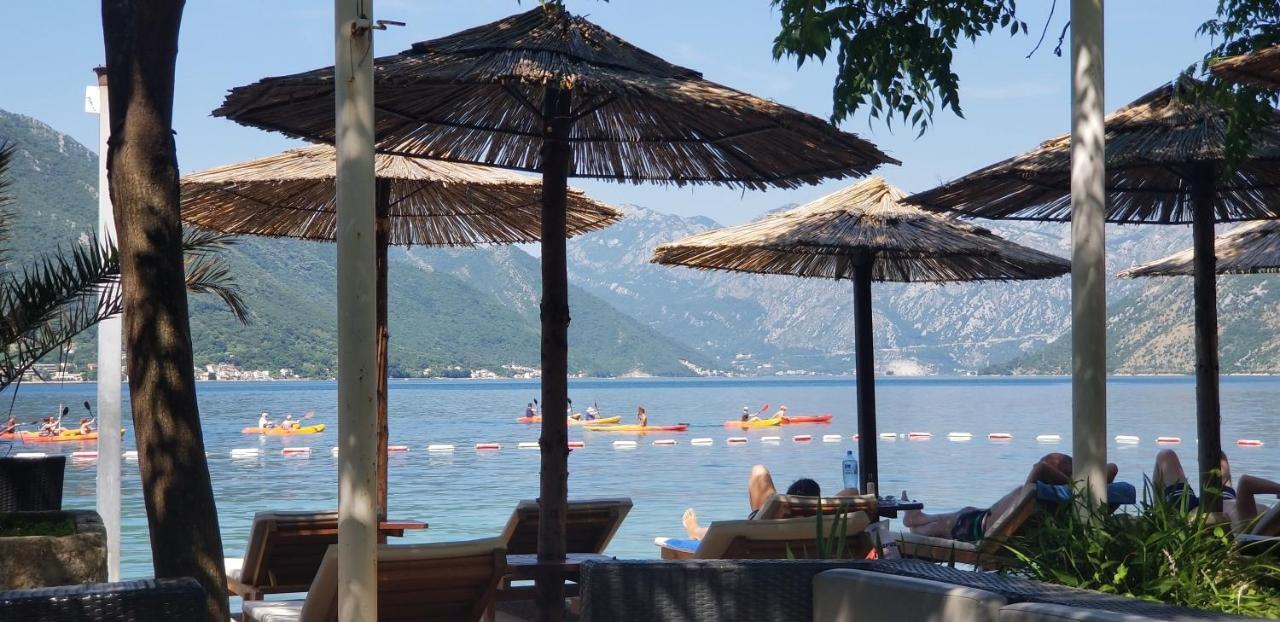Apartament Azure Adriatic Kotor Zewnętrze zdjęcie